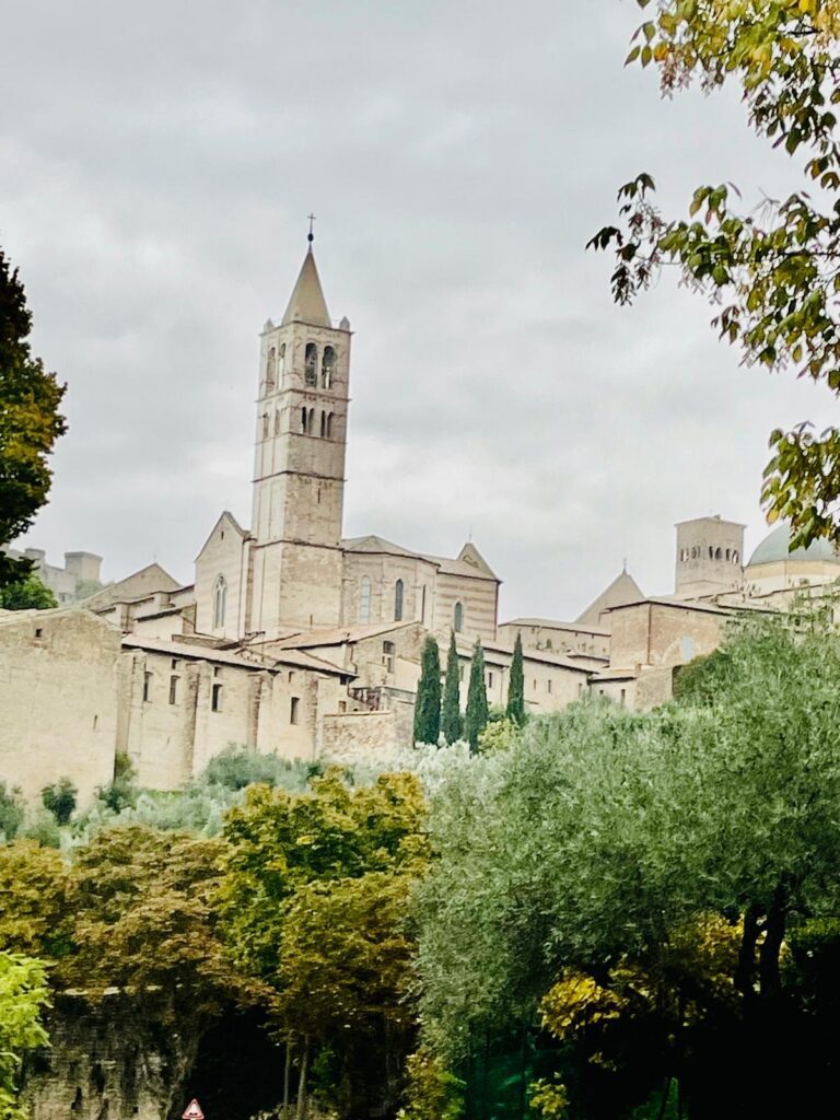 5799cab6-b35d-4dd9-adbc-e124d43a5157