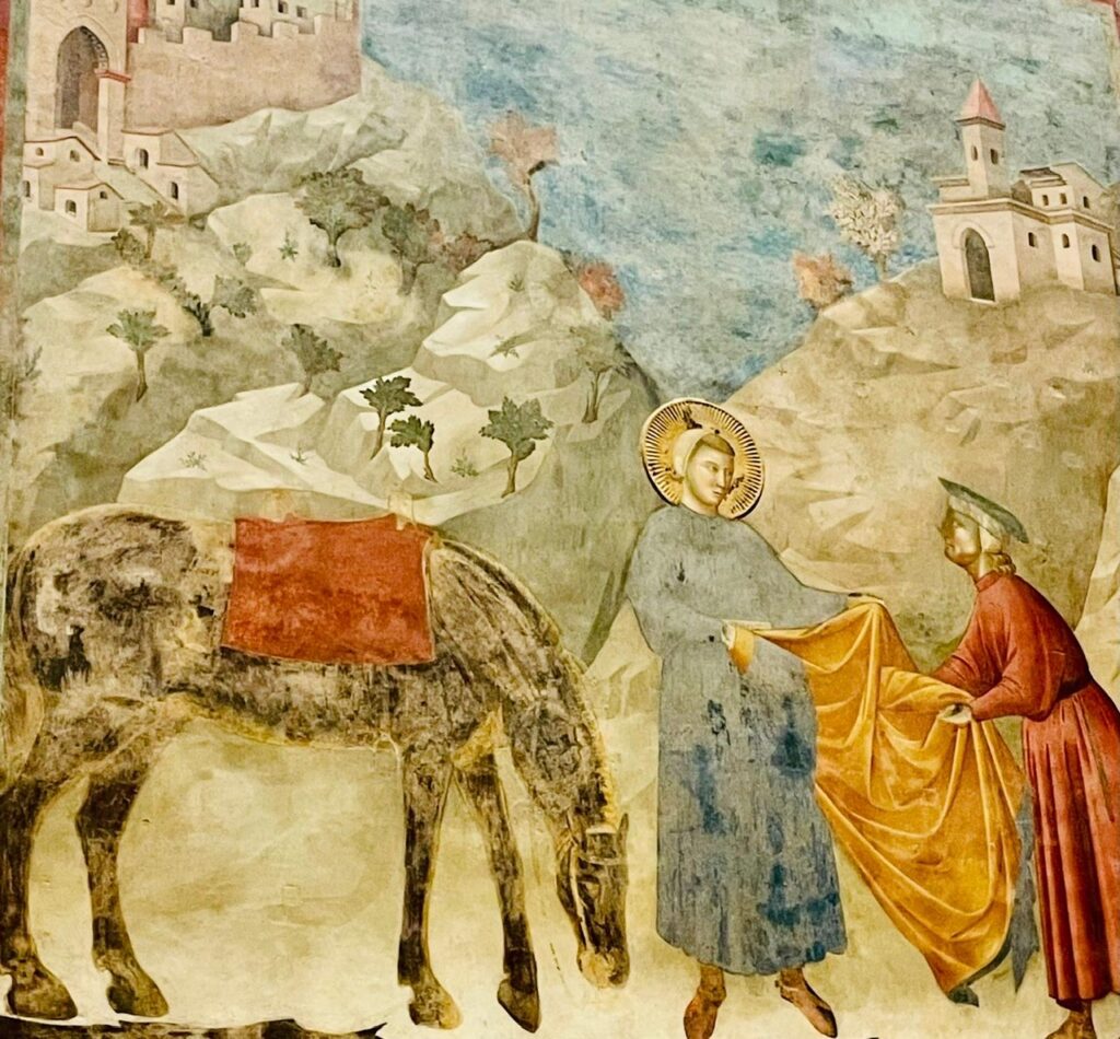 5c0b79c3-6d4a-4d72-937f-a4c34e7f8ad6