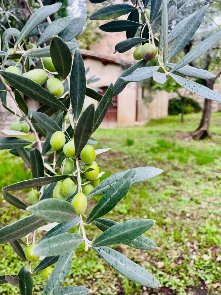 69c1f43b-029a-4ca6-9257-11b4406b834a