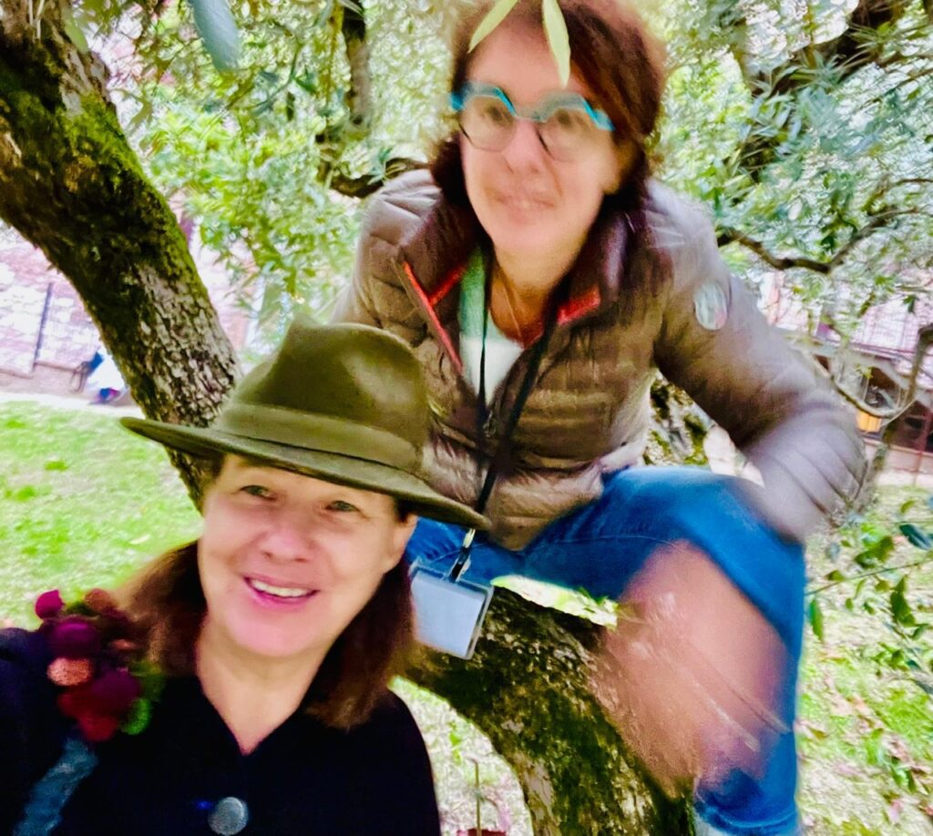 82712e49-7021-48aa-a7ab-cd0a3af6c305