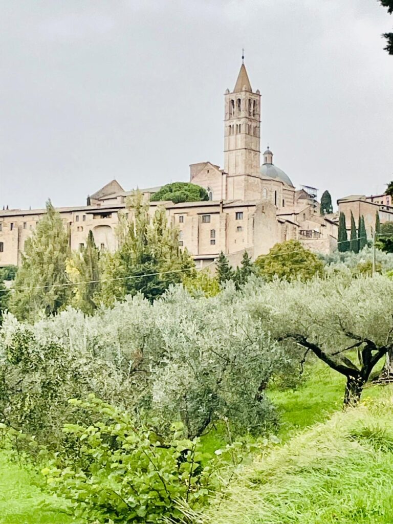 860a54c5-2702-4420-b5b8-35e4140ea9d0