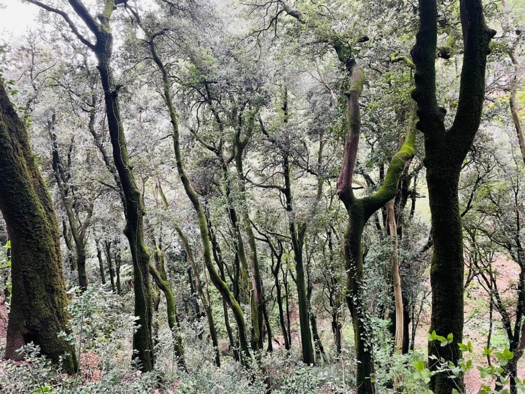 8ed7a089-6e56-41f3-9904-4115add74ba6