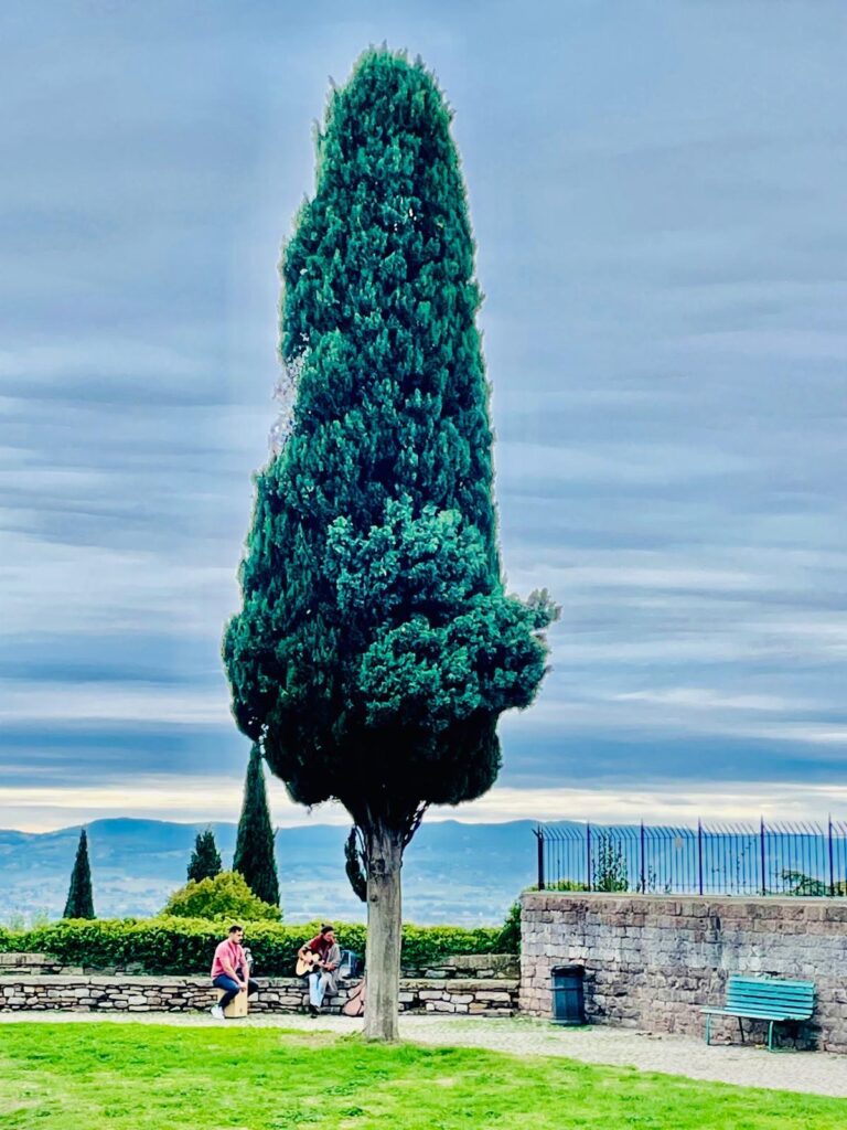 ac58acfb-14de-4a4e-afc9-b4458447d48d