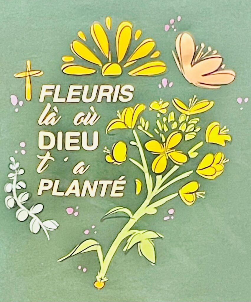 b2220c06-556f-44fb-8d03-768b0105199d