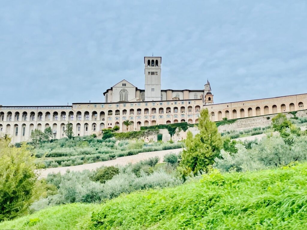 bc13ac5e-636f-4633-acbe-0603f24a1975