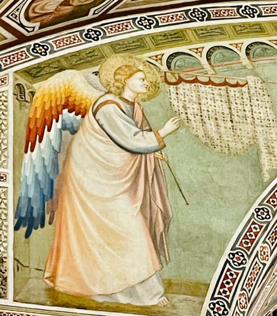 c0e11d72-fa60-41d1-ad7d-7d0dc676d170