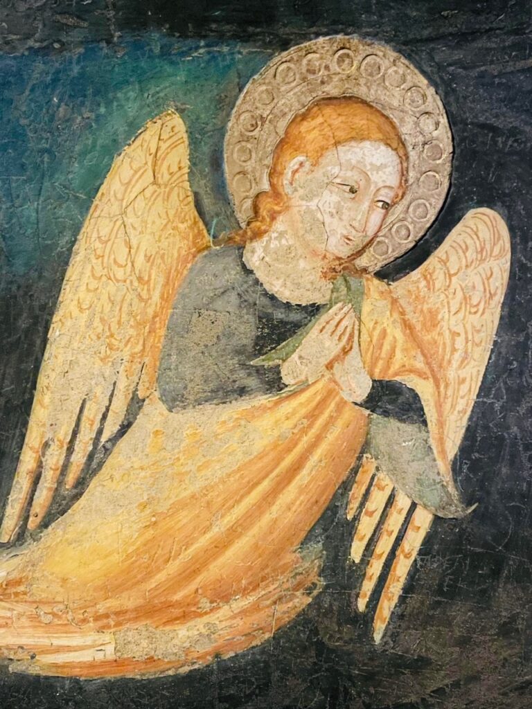 ee8ddd34-61bd-4004-92e3-1164a9eca4b1